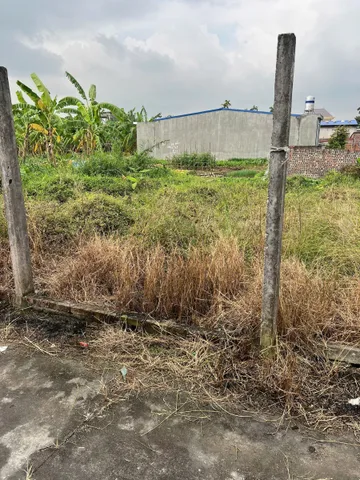 06/12/2025.Bán đất 60.9m² ngang 4,22m giá 760 triệu. Kiều Hạ 1 Quốc Tuấn. Liên hệ 0362558882