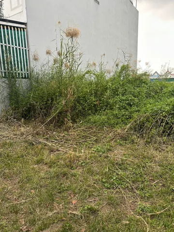 Bán đất 101.9m² ngang 5m giá 1.4 tỷ Phường Tân An