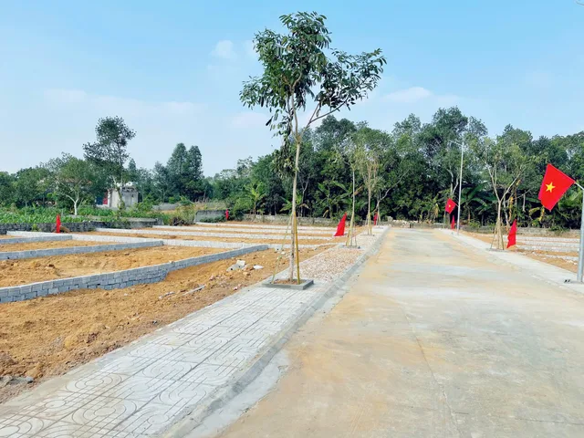Bán đất 137m² full thổ cư ngang 6.5m giá 330 triệu tại Xã Thọ Tân Huyện Triệu Sơn