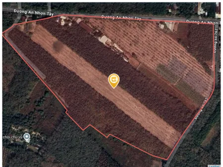 Bán đất 10300m² ngang 30m tại Xã An Nhơn Tây