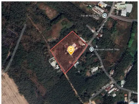 Bán đất 9095.5m² giá 160 tỷ tại Xã An Nhơn Tây