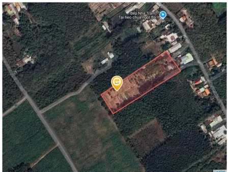 Bán đất 7674.5m² giá 105 tỷ Xã An Nhơn Tây