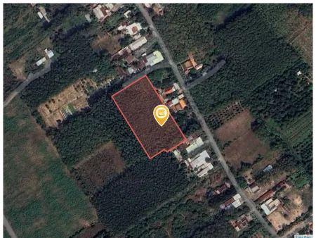 Bán đất 6599.8m² giá 125 tỷ Xã An Nhơn Tây
