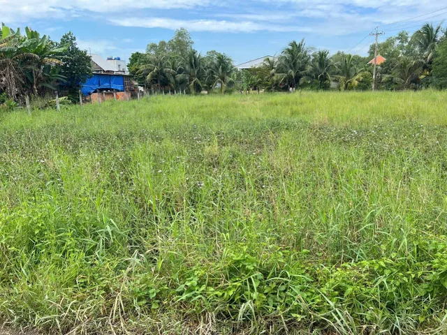 Bán đất 254.5m² ngang 5m giá 1.4 tỷ Xã Hòa Khánh