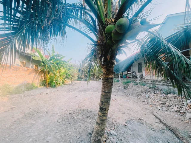 Bán đất Ninh Đa Ninh Hòa 371,8m² full thổ cư Tân Kiều, mặt tiền 11,09m đường bê tông, giá 1,35 tỷ