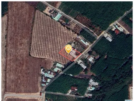 Bán đất 2161m² ngang 40m giá 6.4 tỷ Xã Trừ Văn Thố