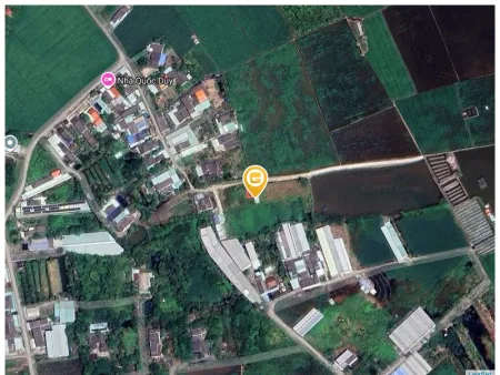 Bán đất 100m² ngang 5m giá 850 triệu Xã Thủ Thừa đối diện KCN Hoà Bình Lh 0902549011