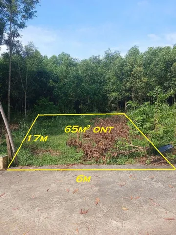 🏡 BÁN LÔ ĐẤT NỀN DỐC CÂY DẦU, xã PHÚ HỘI (cũ) – NHƠN TRẠCH , ĐỒNG NAI🏡