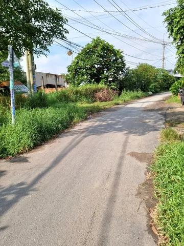 (L428) Đất 1/ Huỳnh Minh Mương, xã Tân Thạnh Đông, dt 200m2, giá 3 tỷ 200