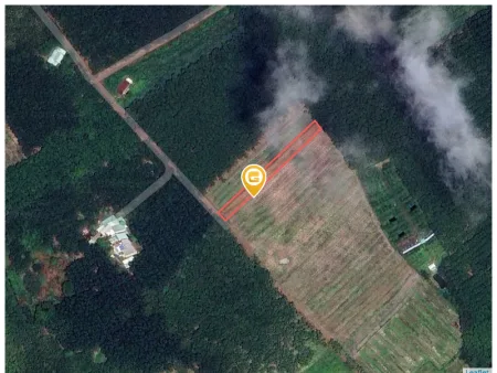 Bán đất 1248.6m² ngang 10m Xã Phước Thành