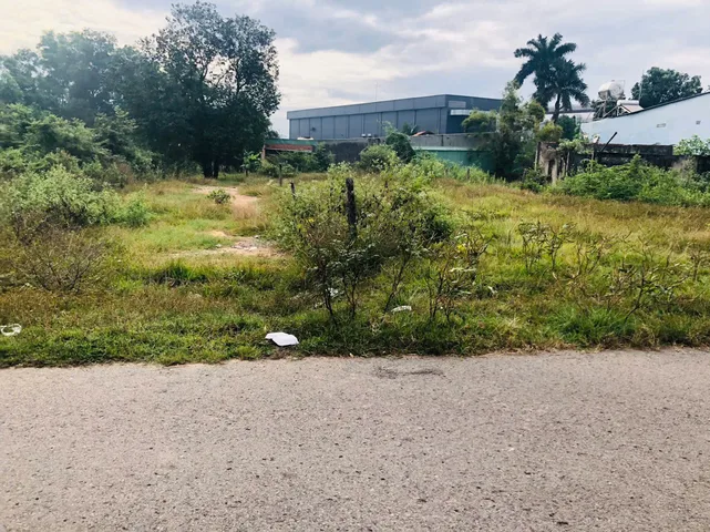 Bán đất 1039.6m² ngang 10m giá 790 triệu Xã Phước Thành