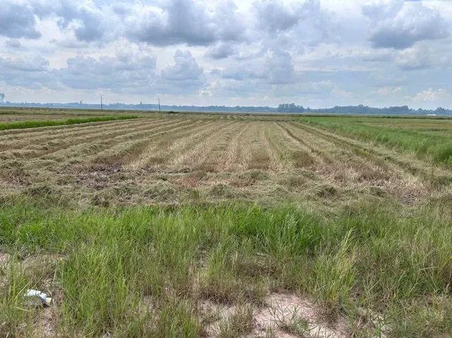 Bán đất vườn 1/Trung Lập xã Trung Lập Thượng Củ Chi TPHCM, DT: 2168m2.