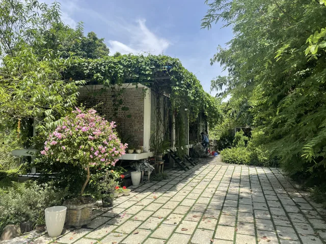 HOMESTAY MẶT HỒ KHOÁNG BƯỞI