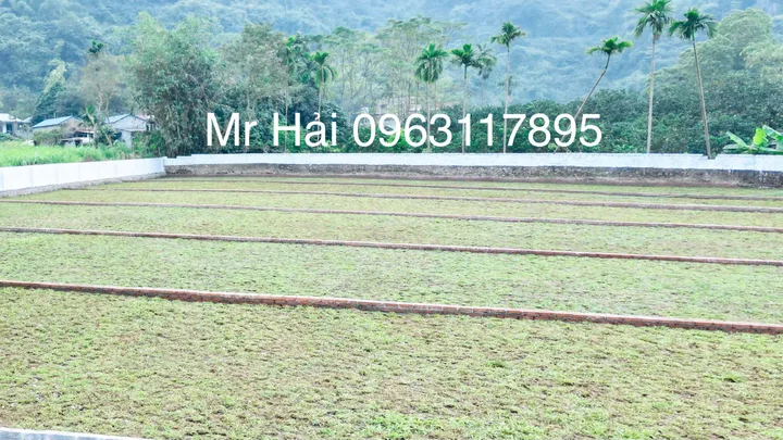 ĐẤT CƯ YÊN – DIỆN TÍCH LỚN, GIÁ NHỎ