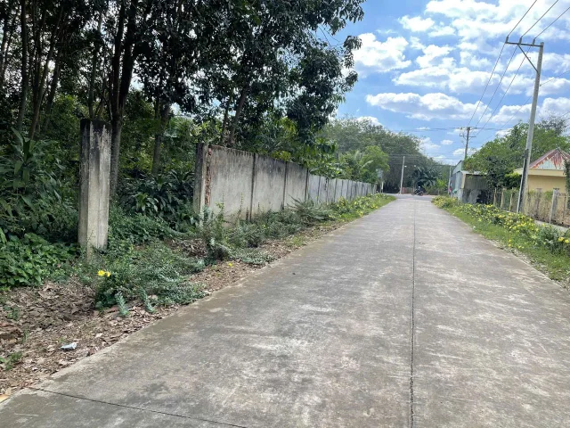 Bán đất 300.1m² ngang 5m giá 780 triệu Xã An Long