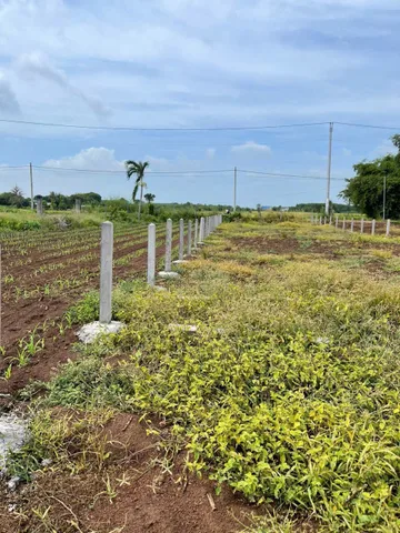Bán đất 900m² giá 1.8 tỷ Xã Đất Đỏ