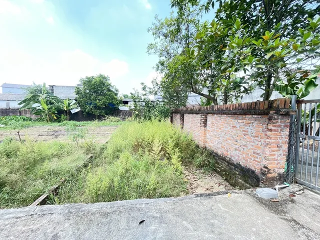Bán 80 m Đan Tảo - Sóc Sơn  Đường ô tô vào tận đất Giá hơn 1 tỷ