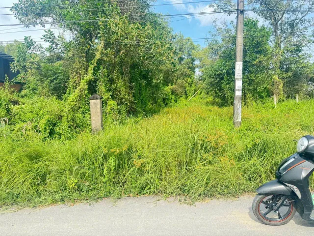 (L879) Đất mặt tiền Tam Tân , xã Tân An Hội, dt 609m2, thổ cư 300m2, giá 3 tỷ 500