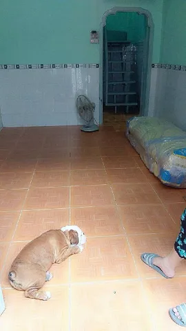 BÁN NHÀ KINH DƯƠNG VƯƠNG AN LẠC BÌNH TÂN 47M2 4.5 TỶ NGANG 6.2M GẦN BẾN XE MIỀN TÂY