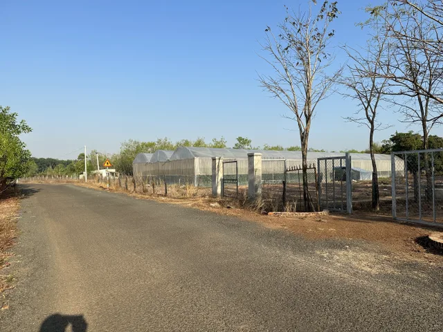 Bán đất 1056m² ngang 10m giá 1.5 tỷ Xã Lộc Tấn, Lộc Ninh, Bình Phước