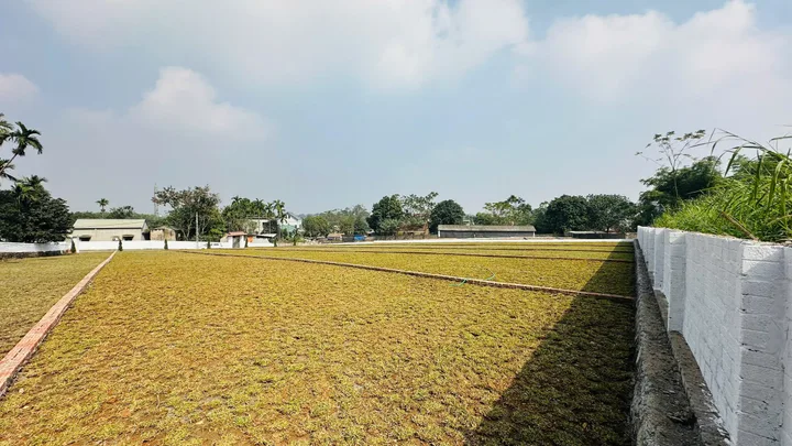Bán Đất Nền Trung Tâm KCN Nhuận Trạch & Khu Nghỉ Dưỡng Cư Yên, Lương Sơn, Hoà Bình