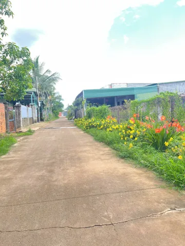BÁN NHANH LÔ ĐẤT ĐẸP KHÁNH XUÂN