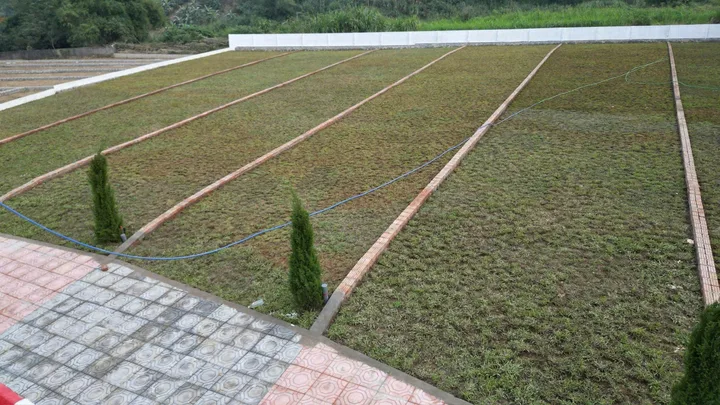 🏡 195 TRIỆU – MUA ĐẤT Ở THẬT, KHÔNG PHẢI CHỜ ĐỢI