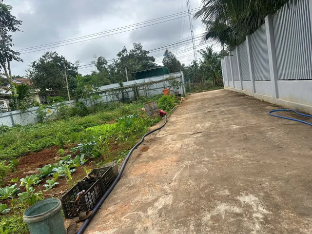 Bán đất 139.1m² giá 1.29 tỷ Phường Tân An
