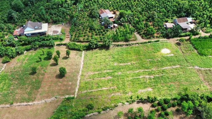 Bán đất 1102.1m² giá 299 triệu Xã Ea Kiết