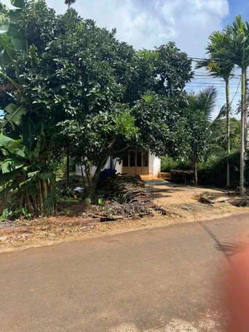 Bán đấT 4KC 573.7m² ngang 9.7m giá 1.85 tỷ Phường Tân An