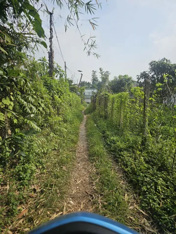 Đât lái thiêu dt 353m