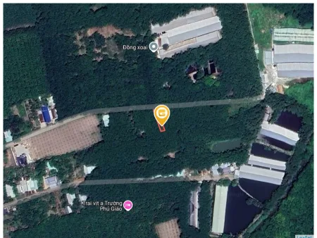Bán đất 194.8m² ngang 5m giá 450 triệu Xã An Long