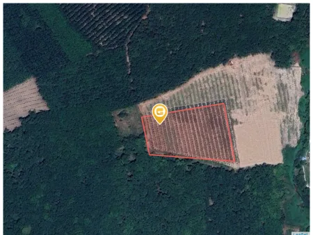 Bán đất 8947.5m² ngang 50m Xã An Long