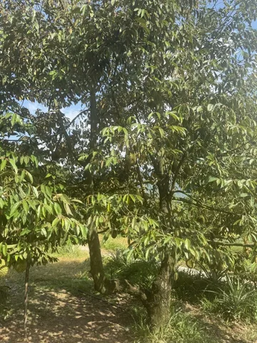 CƠ HỘI ĐẦU TƯ HIẾM CÓ – QUỸ ĐẤT VÀNG ĐÓN ĐẦU HẠ TẦNG, GIÁ CHỈ 600.000Đ/M² (LH : 0913.429252)