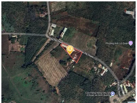 Bán đất 1926.9m² giá 40.5 tỷ Xã An Nhơn Tây