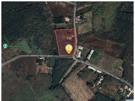 Bán đất 5481.9m² giá 78.5 tỷ Xã An Nhơn Tây