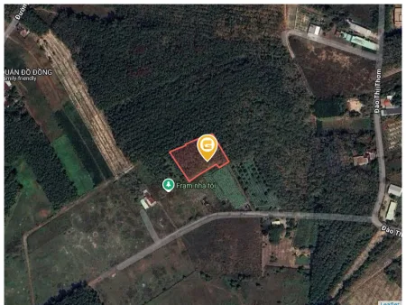 Bán đất 1960.7m² giá 15.5 tỷ Xã An Nhơn Tây