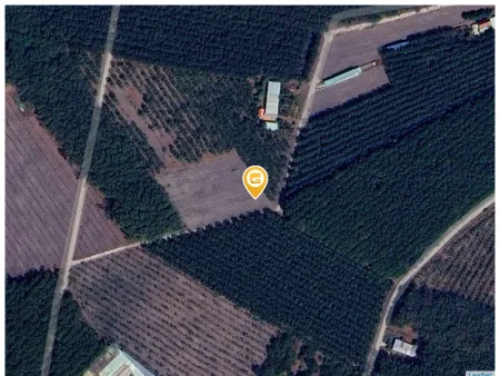 Cần bán 1.260m2 đất lên thổ cư, dân xung quanh