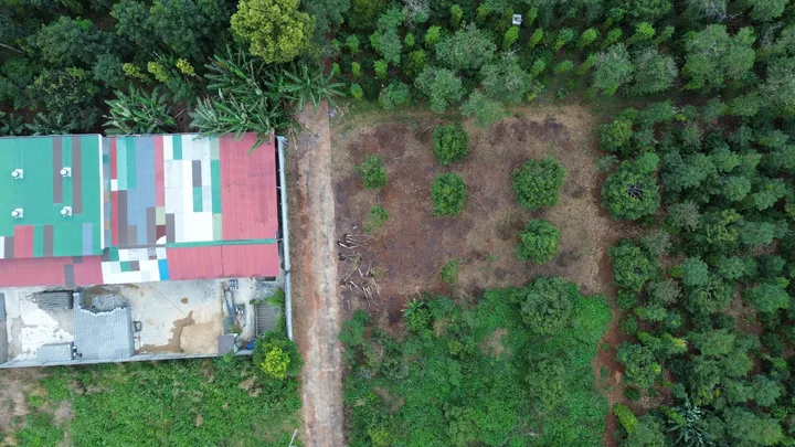 Bán đất thôn 3 Cư Suê 150.9m² có sẵn 145m² thổ cư ngang 5m giá 675 triệu tại Xã Quảng Phú