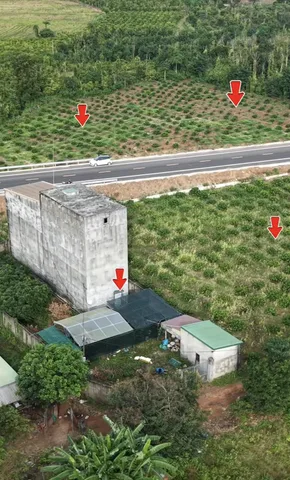 200m Mặt tiền đường Tránh Đông tổng 7 sào3 , có dòng tiền nhà yến khai thác 300tr/năm BÁN 10tỷ500tr
