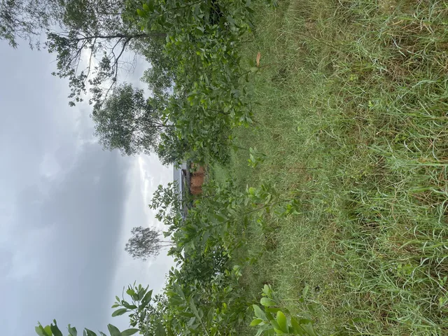 Bán lô đất khuyến mãi khủng