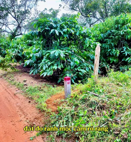 Bán đất 300m² giá 199 triệu Xã Ea Kar