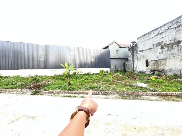 Bán 85 m Thổ Cư View Bìa Đồng  Tại Dược Hạ - Tiên Dược  Đường Ô tô Tránh
