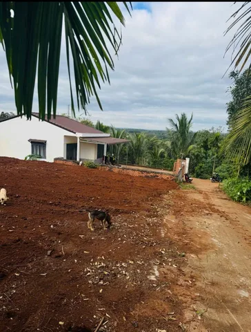 Bán đất 500m² giá 1.15 tỷ Phường Buôn Ma Thuột