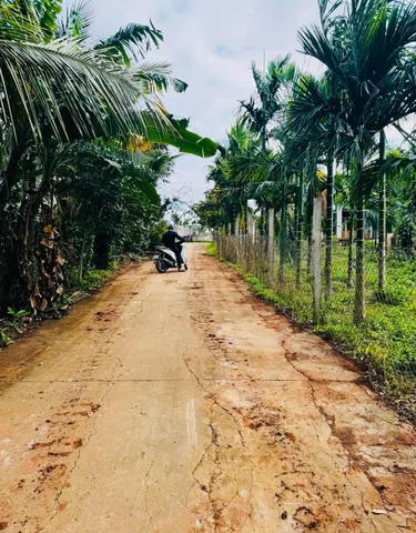 Bán đất 1000.5m² giá 1.15 tỷ Phường Buôn Ma Thuột