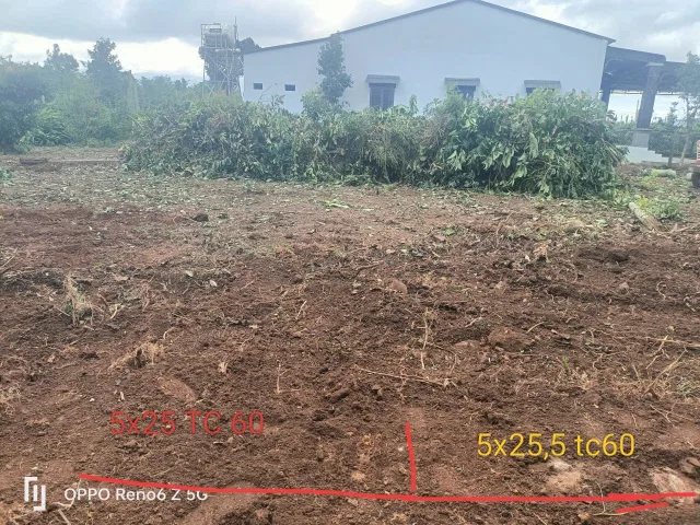 Bán đất 156.5m² giá 209 triệu Xã Ea Ning