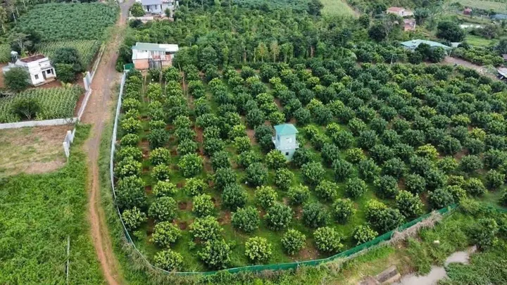 Bán đất 4560m² ngang 100m giá 6 tỷ Xã Hòa Phú