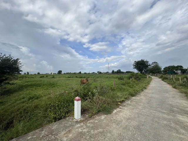 Bán đất 1097m² ngang 20m giá 450 triệu Xã Hồng Sơn