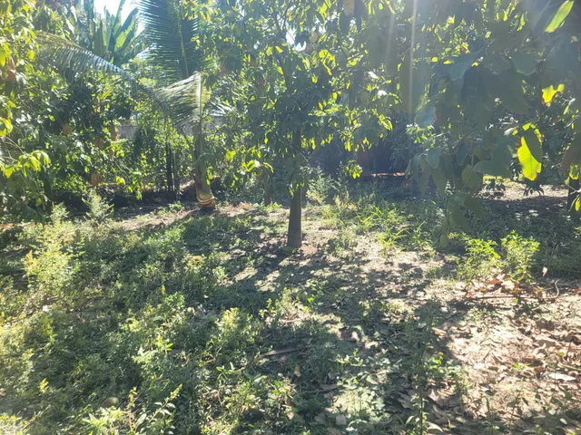 Bán đất hơn 500m² có sẵn 88.2m² thổ cư ngang 11.72m tại Đường Tỉnh lộ 957 Xã Khánh Bình, hồ sơ rõ ràng, dễ dàng tách sổ, sang tên.