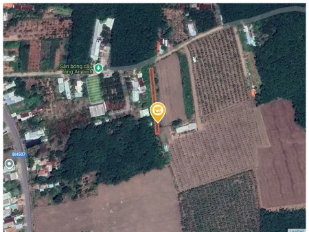 Bán đất 482.9m² Xã An Long
